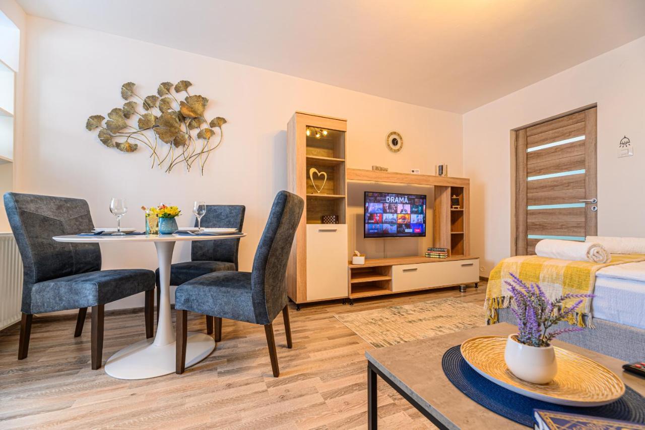Luxury Studios - Soarelui 10 Брашов Экстерьер фото